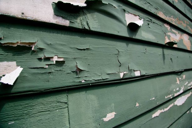 How To Choose The Right Materials for Your Siding Installation in 'El Rancho, NM